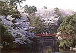 高岡古城公園